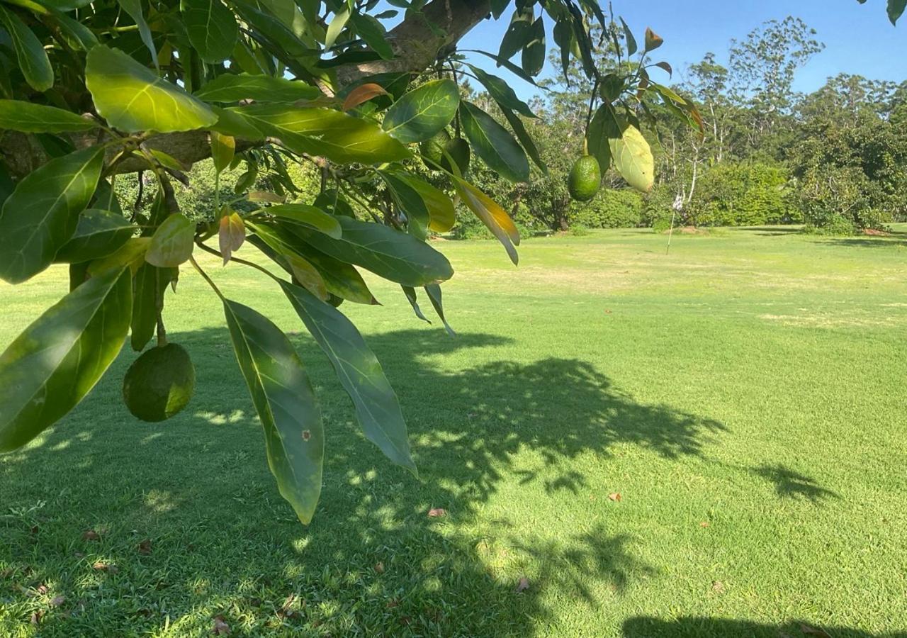 Sunshine Coast Retreat Your Own Private Golf Course Diddillibah Exterior foto