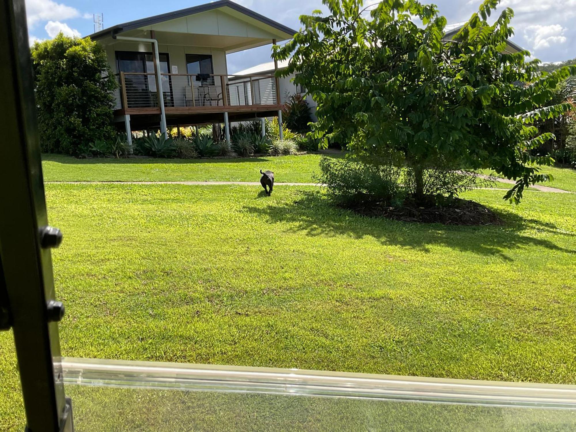 Sunshine Coast Retreat Your Own Private Golf Course Diddillibah Exterior foto